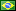 BRAZIL (55) flag